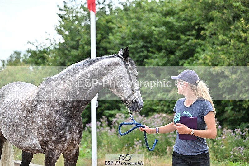 250716-135732-00719 - Trot Up 1.30 to 2.30