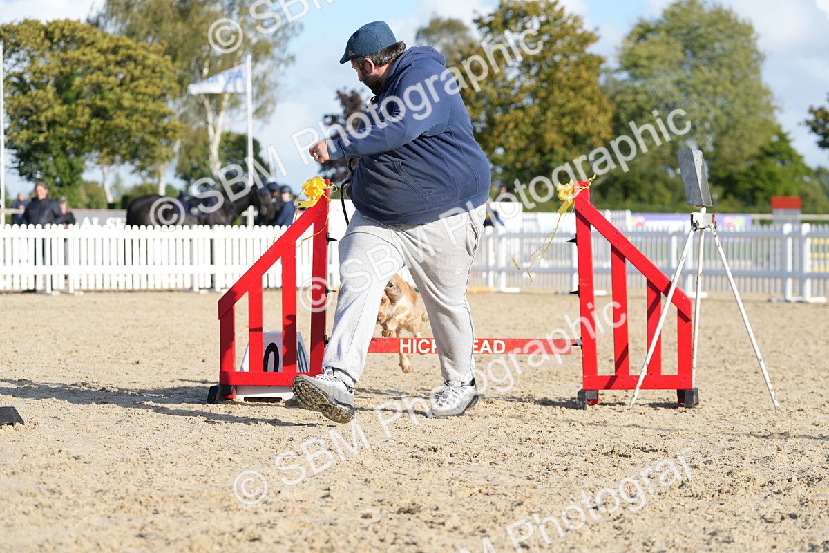 SBM_28982 - J43 - Horse & Hound Open 50cm