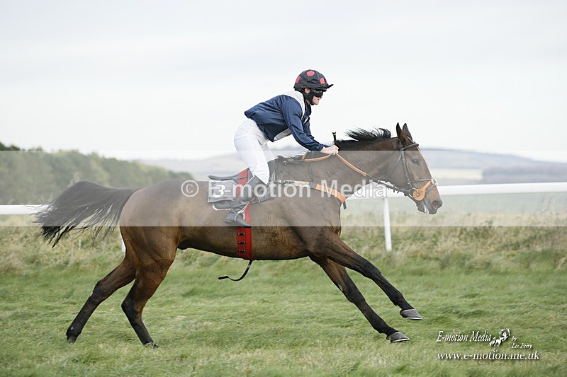PtP 281121 0359 - Hursley Hambledon Point-to-Point Larkhill 28/11/21