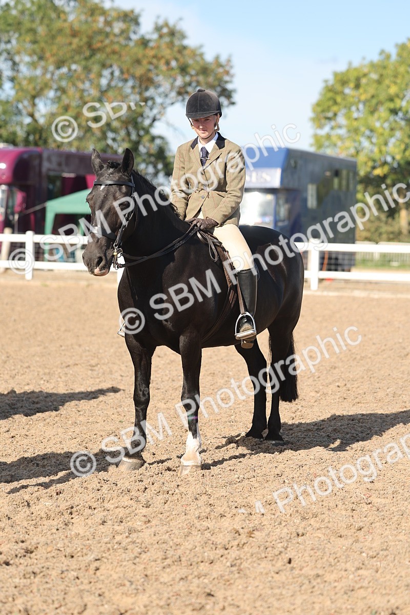 SBM_12373 - Class 304 - Ridden part Bred Horse Pony