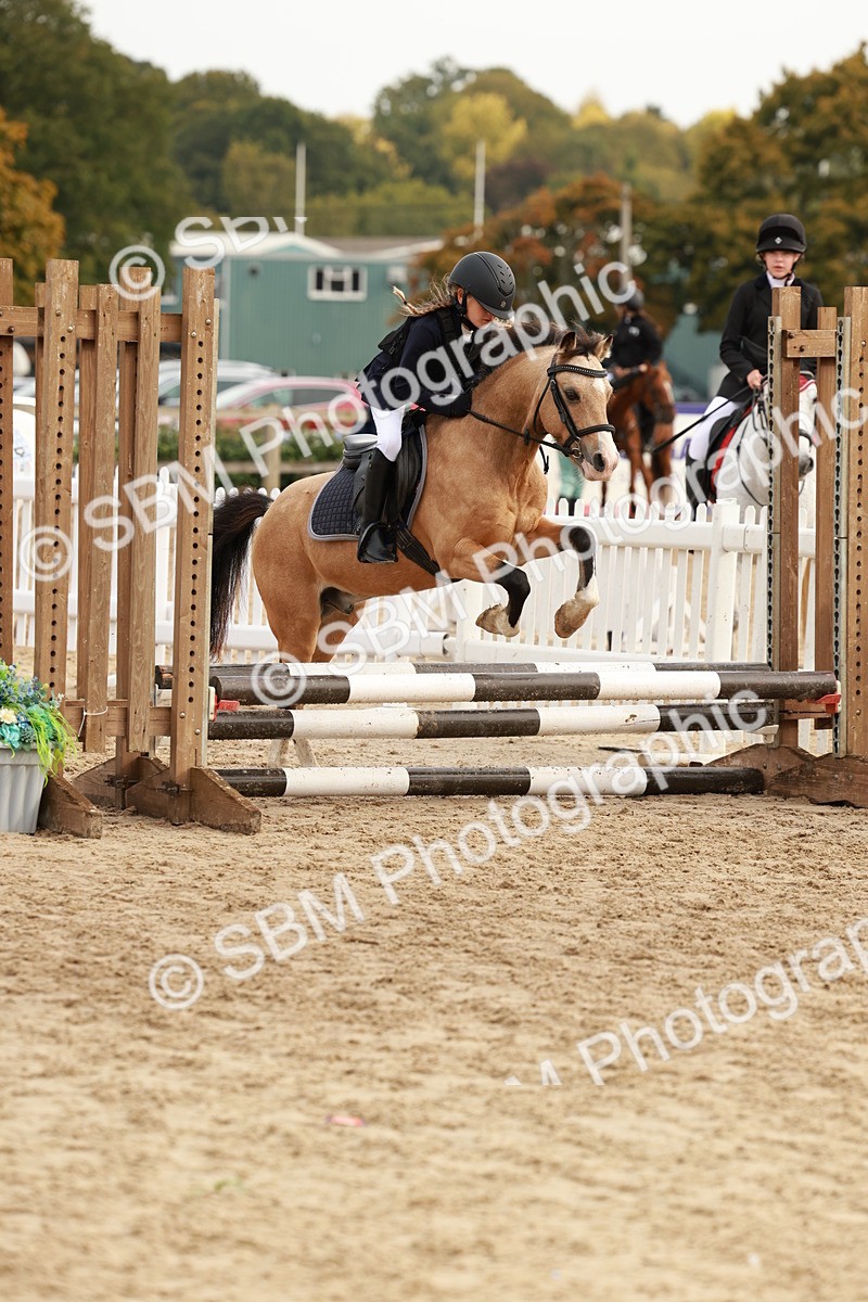 SBM_57679 - J11 - Junior Pony 50cm Championship