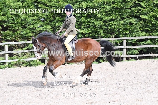 BPP_7617 - RING 1  (RIDDEN HORSES / IN HAND / VETERAN ETC)