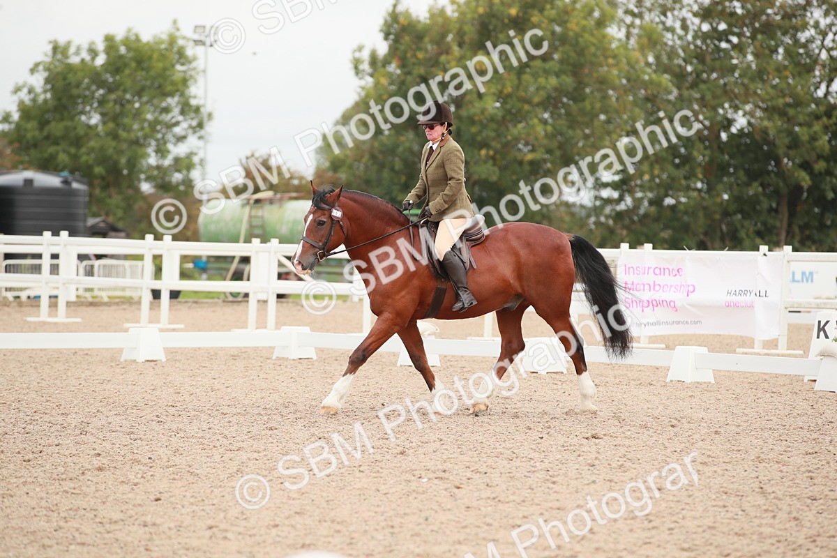 SBM_00813 - Class 30 - Intro 1