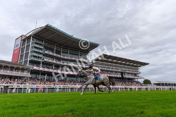 270724-Race 4-Greydreambeliever-1356 - Race 4 4.00pm Sky Bet Club EBF Fillies' Novice Stakes