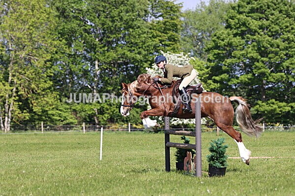 IMG_4733 - Working Hunter