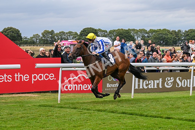 150824-Race 3-Go On Rosie-7875 - Race 3