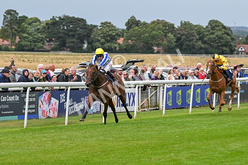 150824-Race 3-Go On Rosie-7851 - Race 3