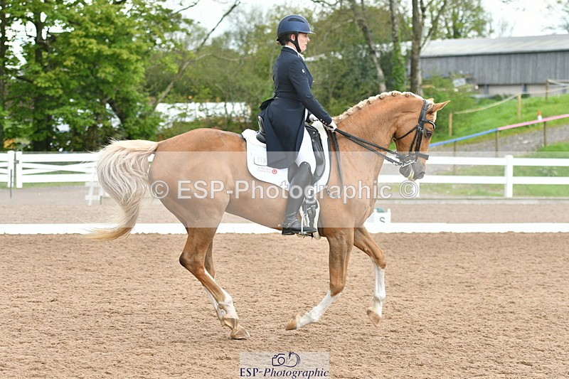 230511A-160551-01295 - BD Cls 18 FEI PSG