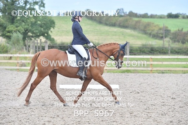 BPP_5967 - PRELIM TEST 5 LONG ARENA