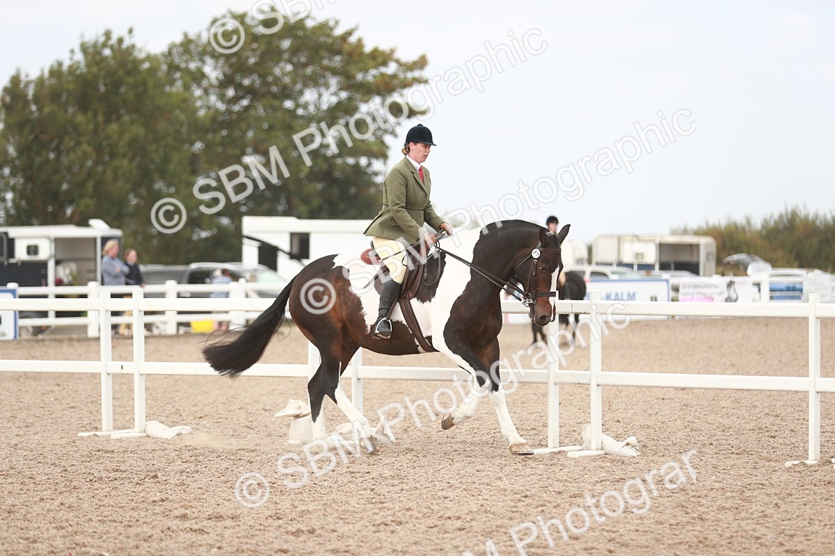 SBM_16679 - Class 214 Ridden Cob