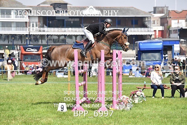 BPP_6997 - CLASS 3 RHS Fox Champ Qual (1.20m)