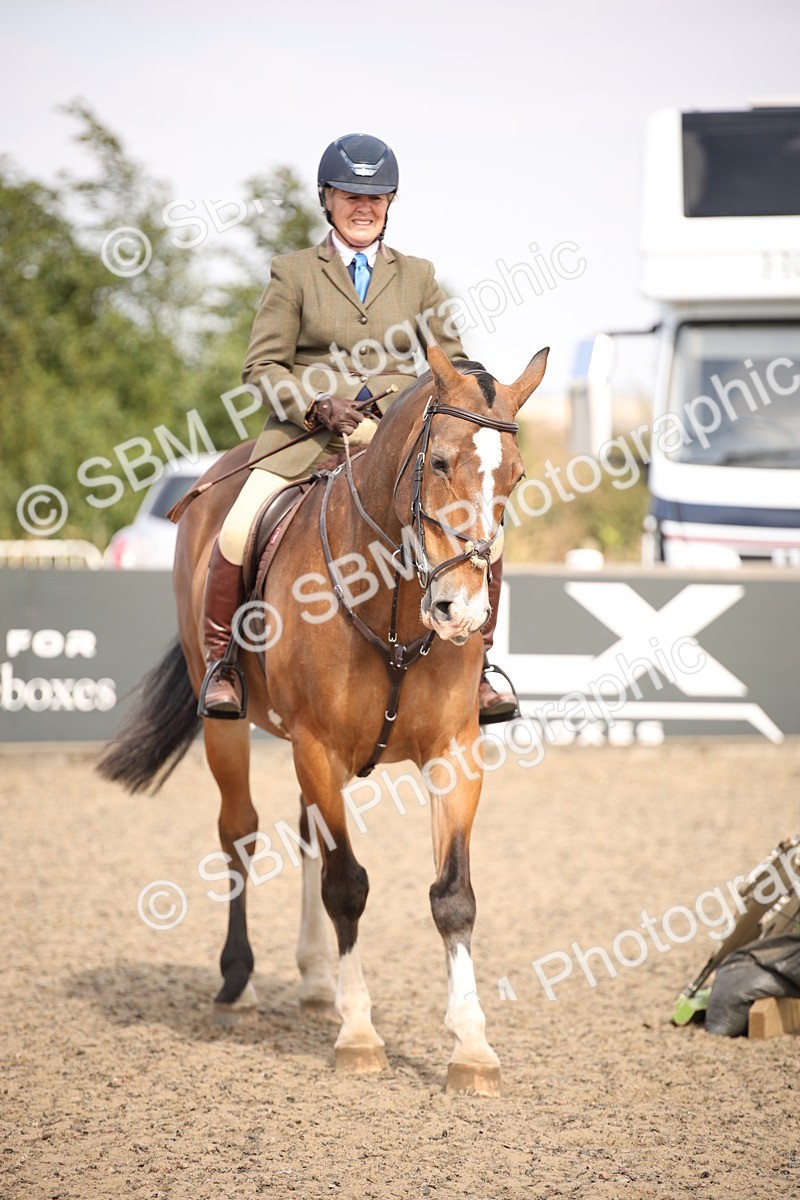 SBM_15070 - Class 408a - Working Veteran 70cm (15-19