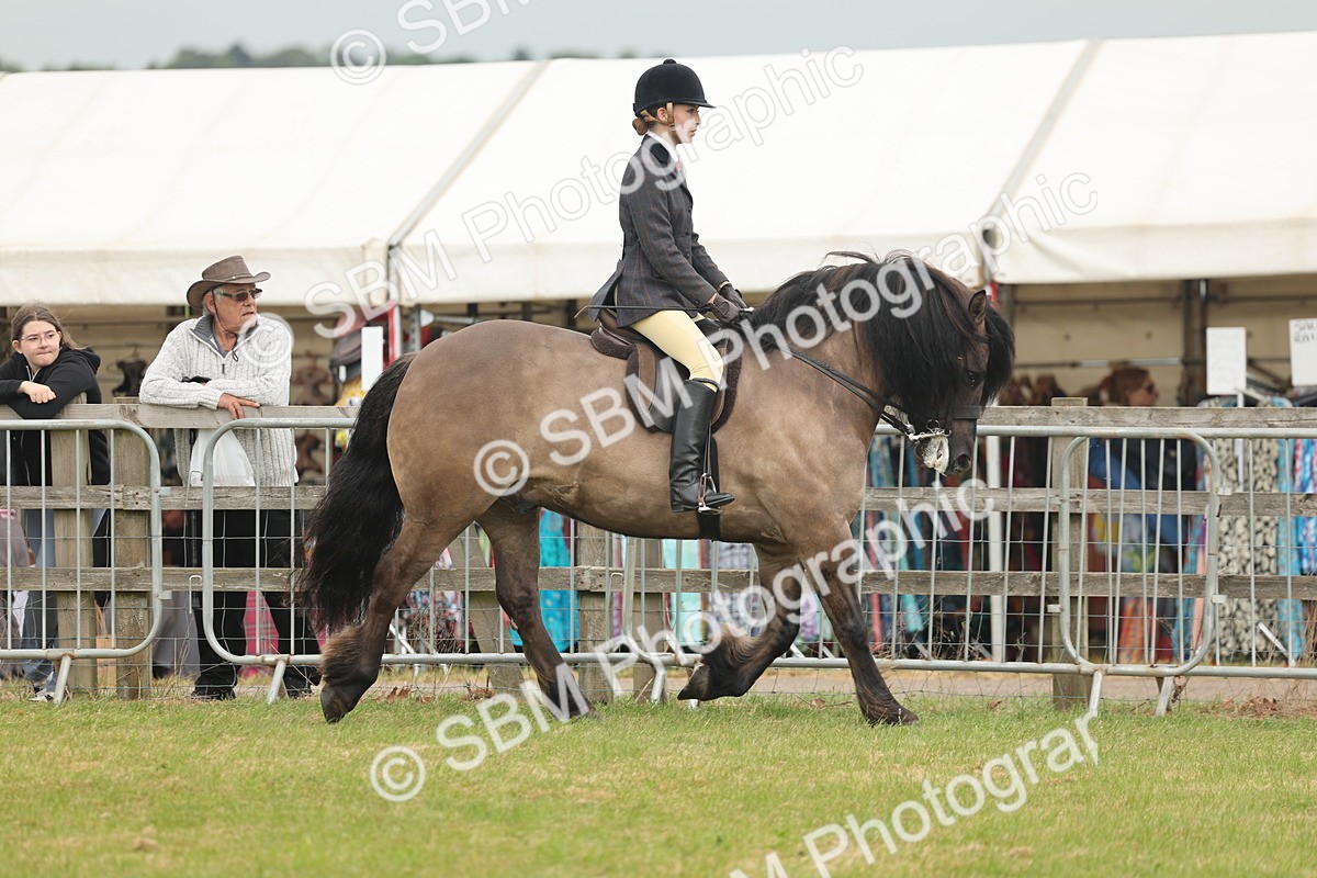 SBM_08920 - Class 78-80 - Ridden M&M Non Welsh Ponies