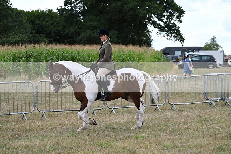 WJ7_5004 - Class 12 Ridden Cob