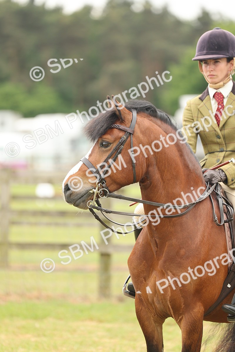 SBM_07226 - Class 76-77 - Ridden M&M Welsh Ponies