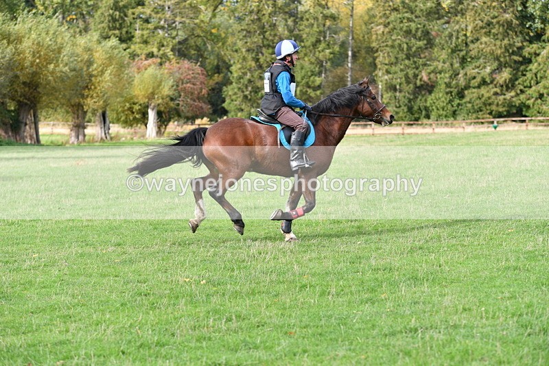 WJ5_0369 - Time 13:59 to 14:28