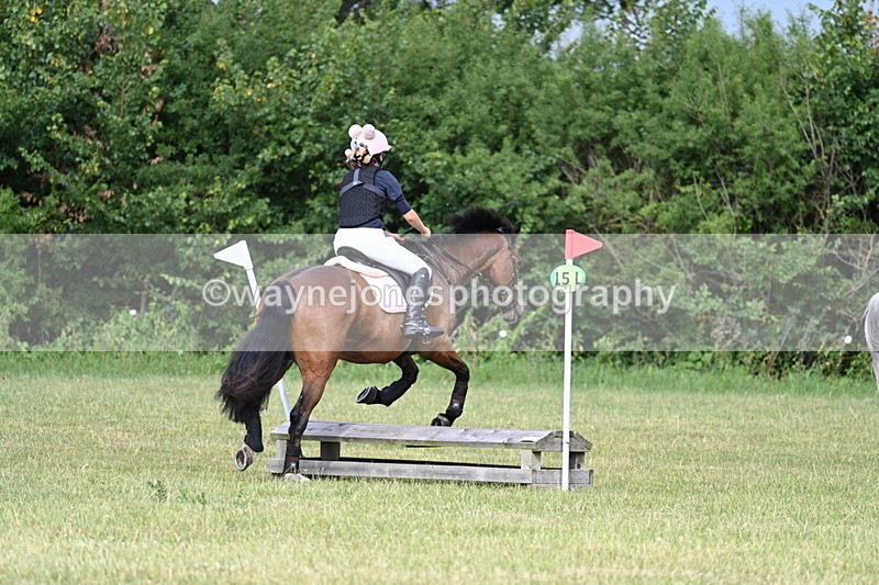 WJ7_4519 - 60cm Pairs XC