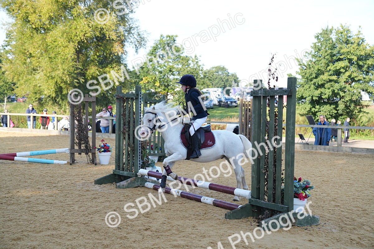 SBM_59064 - J63 - Minis Clear Round 30cm 40cm