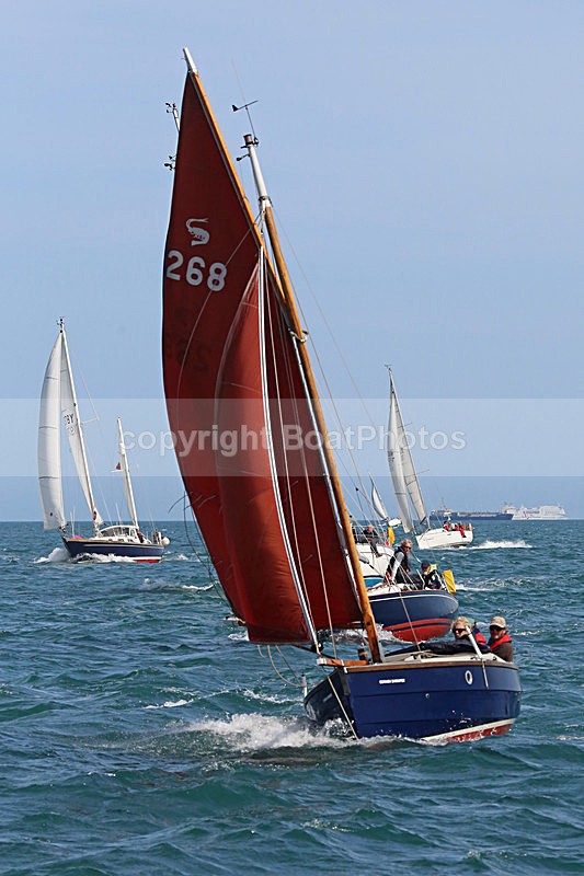 150627 CORNISH SHRIMPER 268 - WT7A0605_A - ROUND THE ISLAND RACE - SATURDAY 27th JUNE 2015