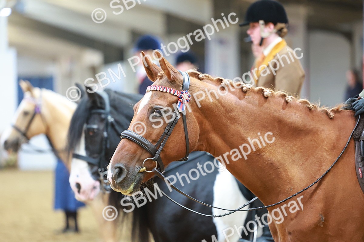 SBM_09696 - Class 102 - HOYS Veteran Qualifier - Ridden Veteran