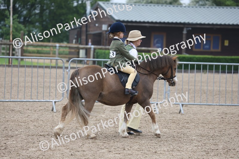 20260504-0109 - Class 9 - Lead Rein Pony