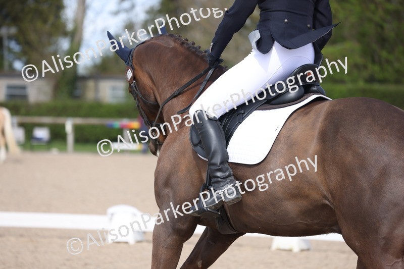 20260405-0288 - Class 3 - Novice 5