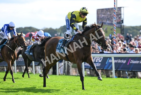 220825-218 Cape Flora - Race 5 4.10pm Assured Data Protection EBF Fillies' Handicap
