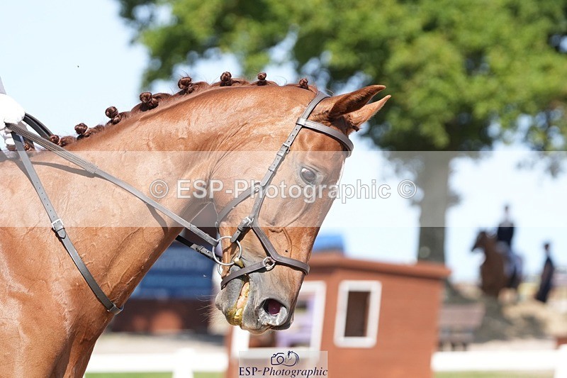 250817-152358-11193 - 203-Anna.JamesVillany