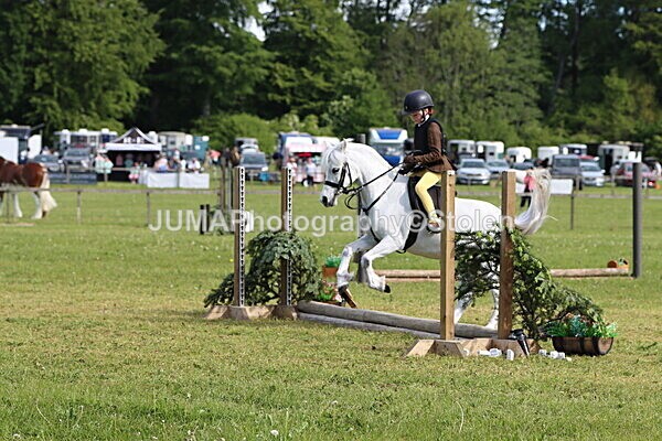 IMG_2125 - Working Hunter