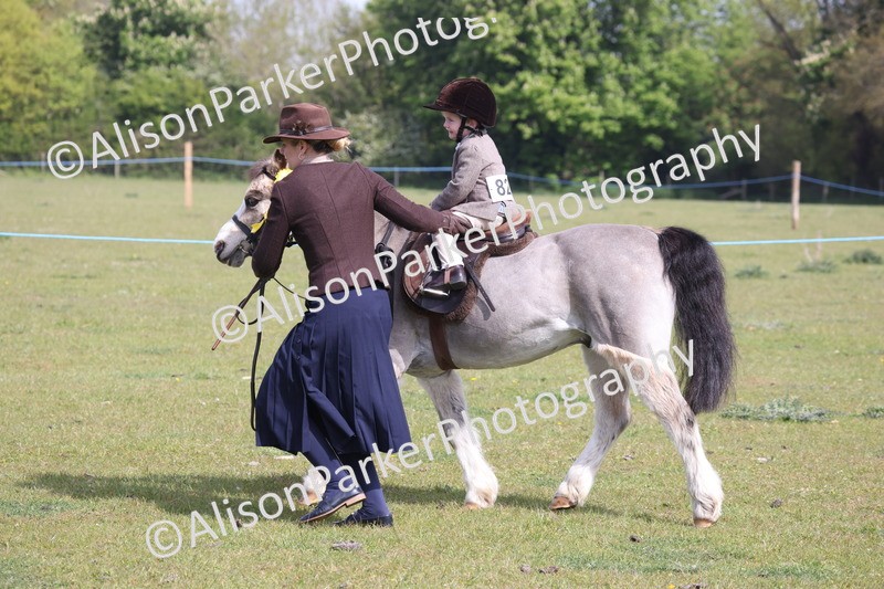 20260426-0549 - Class 30 - Tiny Tots Lead Rein