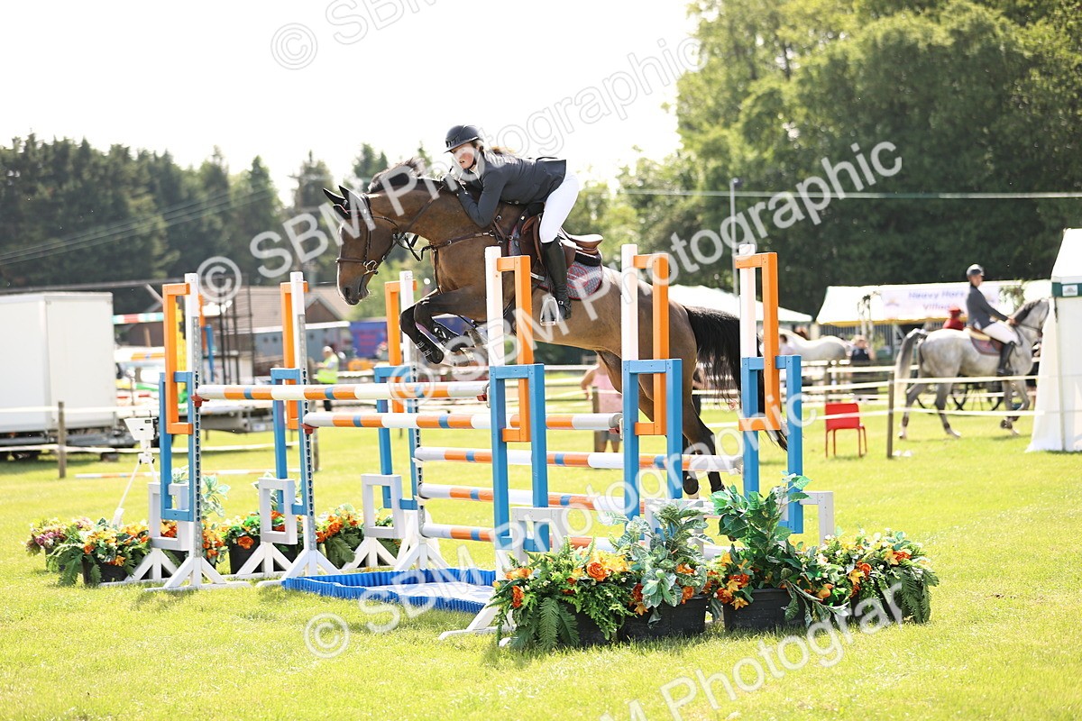 SBM_02952 - Class 201 - British Horse Feedds Speedi Beet HOYS Grade C