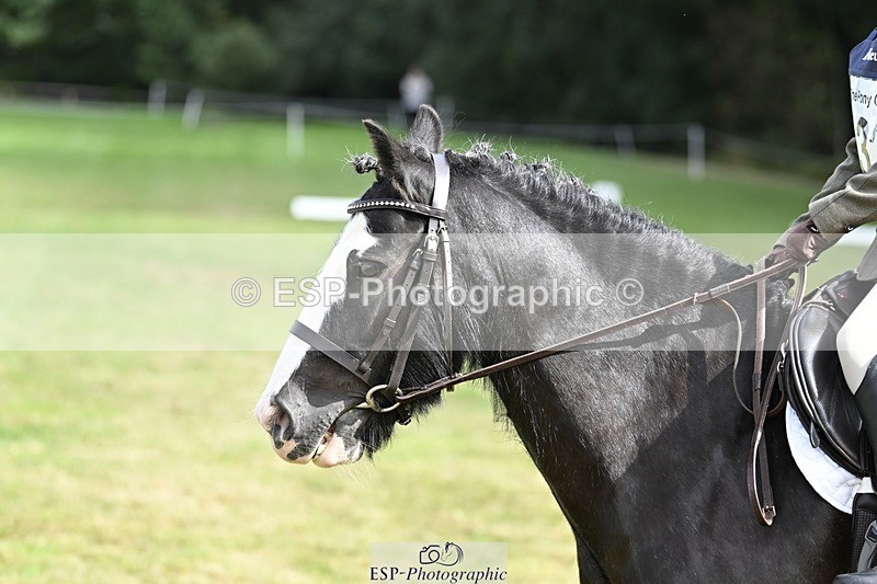 250821A-102316-14303 - DR 10.00 to 11.00