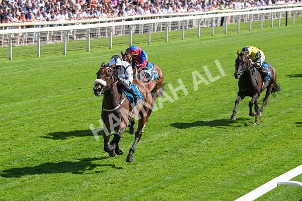 120725-Race 4-Al Qareem-5783 - Race 4 3.45pm John Smith's Silver Cup Stakes
