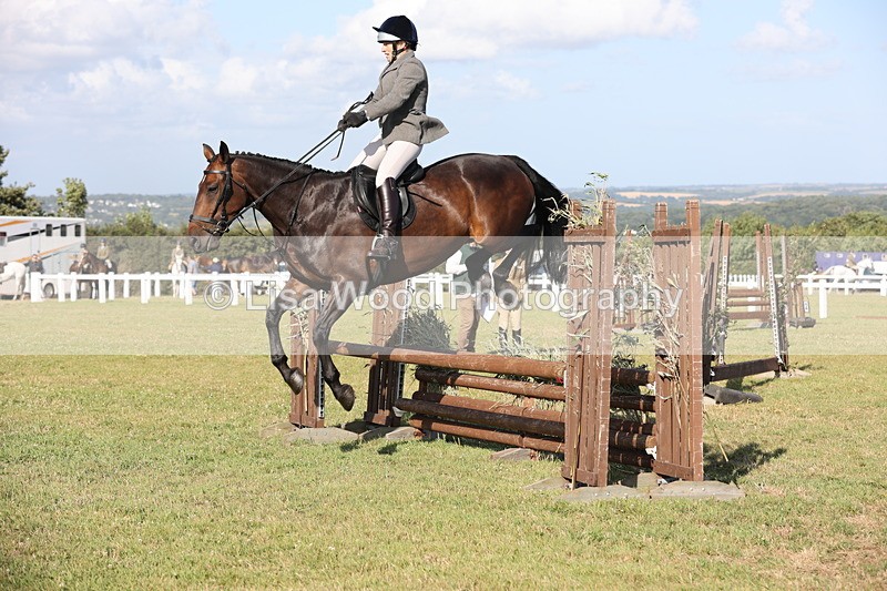 JPP_3111 - Class 21: Working Hunter 80cm