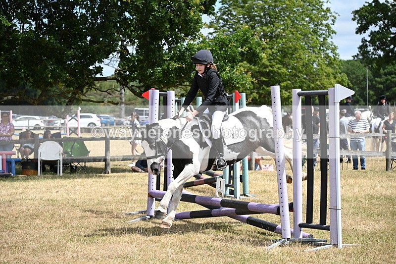 WJ6_5373 - Class 12 Minimus Jumping 45cm