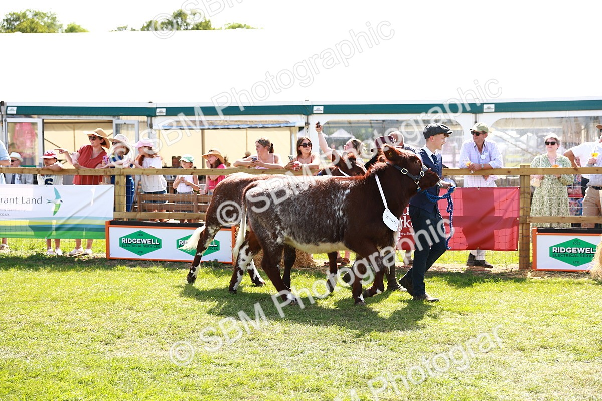 SBM_08422 - Grand Parade