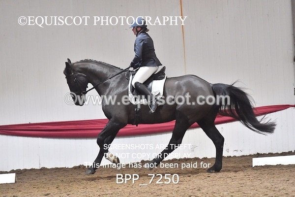 BPP_7250 - CLASS 6 NOVICE CHAMPIONSHIP TEST 5