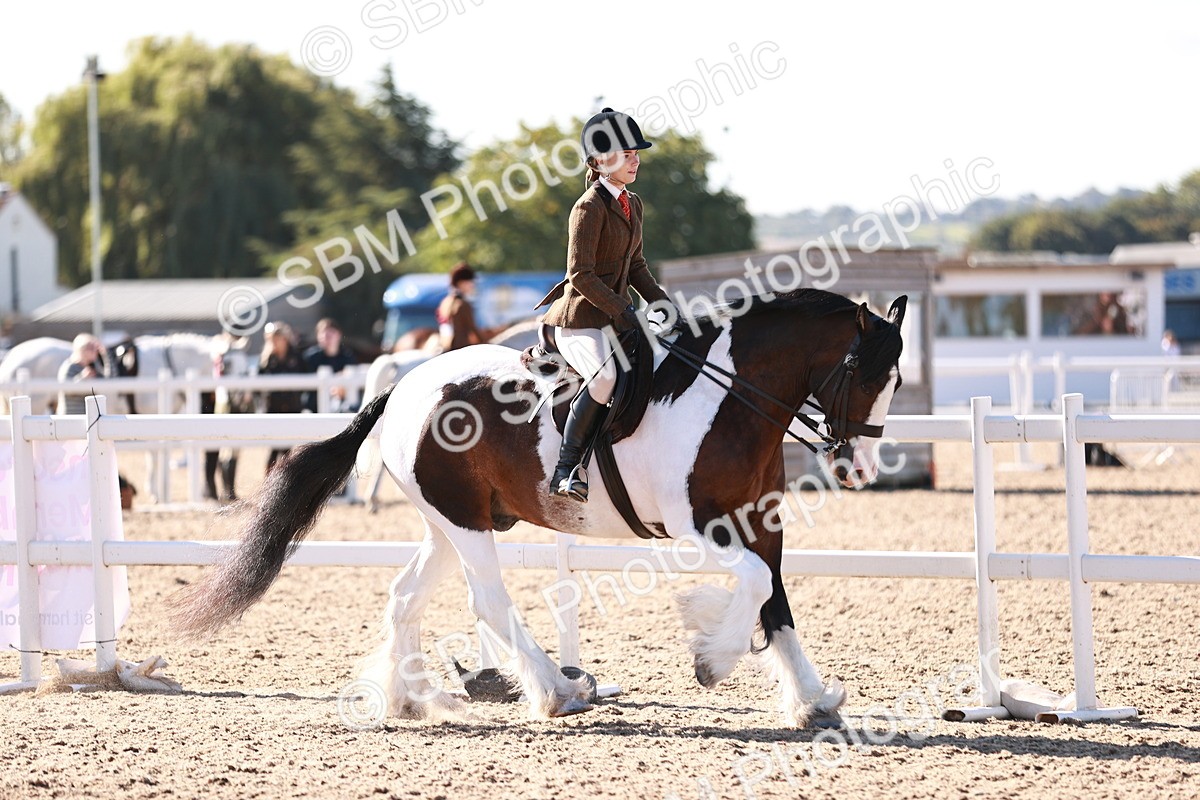 SBM_12465 - Class 403 - Grassroots Ridden - Junior