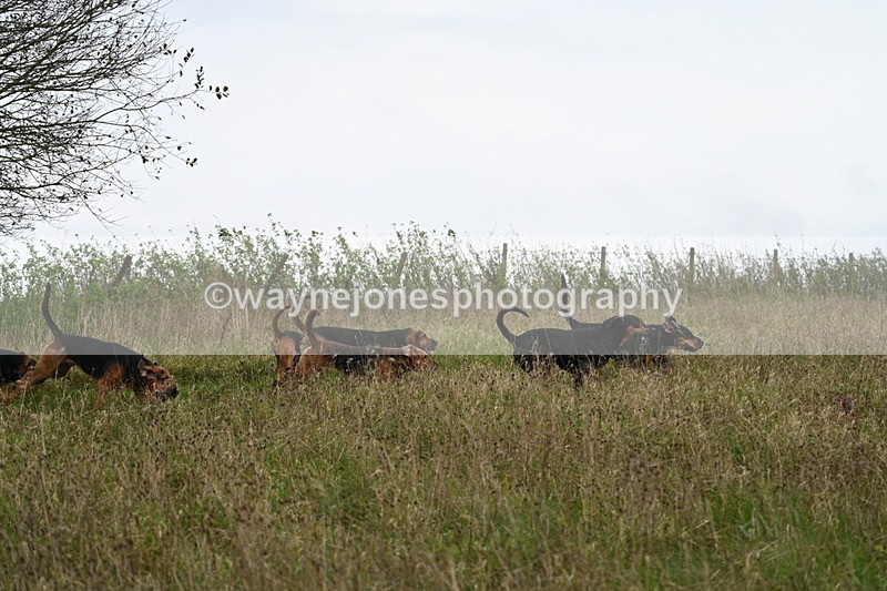 WJ7_9817 - Camera 1 & Last fence