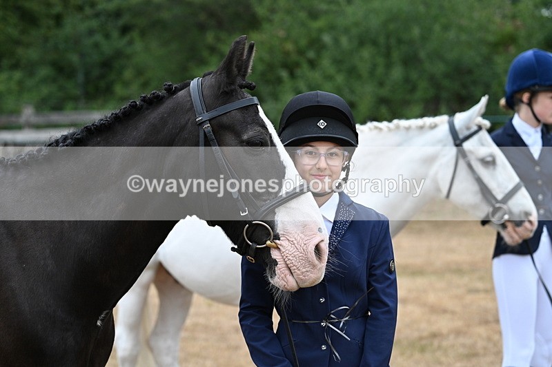 WJ7_9531 - Class 5 Most Handsome Gelding (up to 14.2hh)