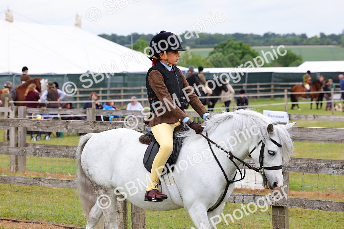 SBM_08447 - Class 42-43 - LIHS BSPS Heritage Working Sports Pony