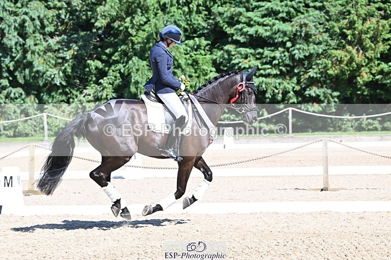 240811-153529-06686 - Adv Medium Gold