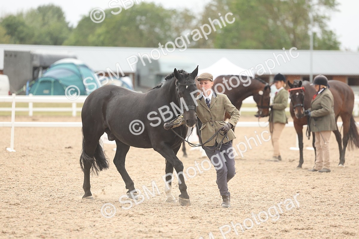 SBM_19824 - Class 318 - IH Part Bred Horse-Pony