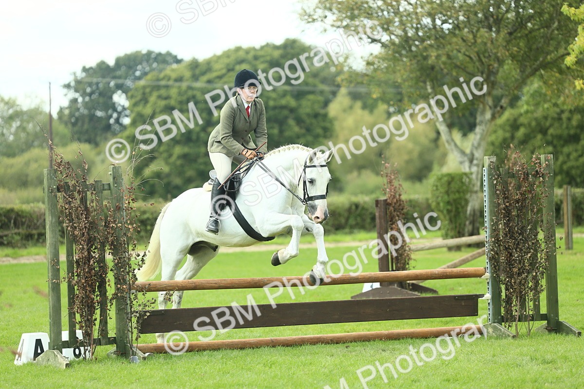 SBM_47940 - S32 - Novice & Newcomers Working Hunter