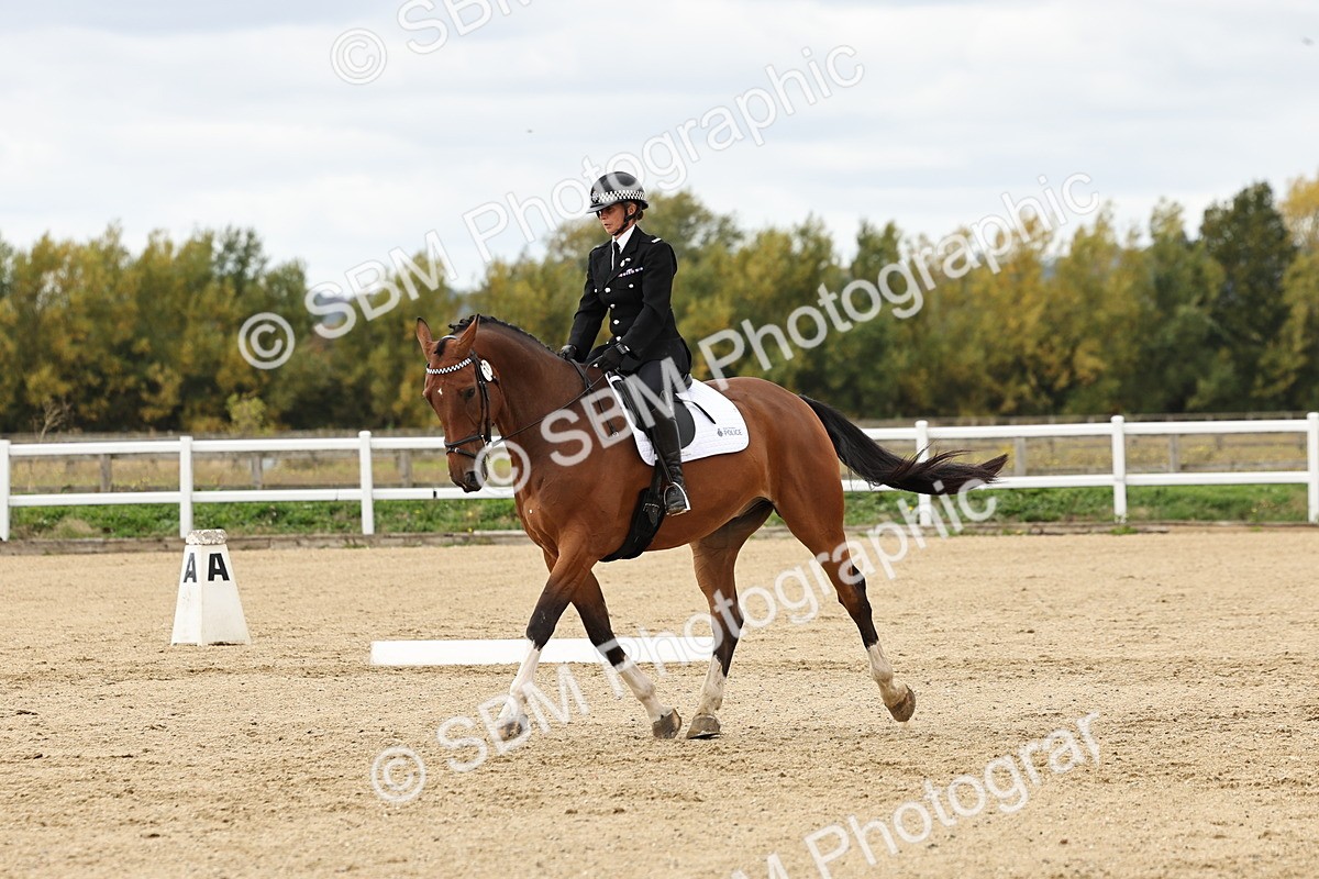 SBM_004524 - Class 69 - Novice 2