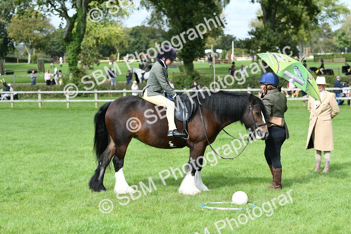 SBM_46927 - S12 - Family Horse & Pony