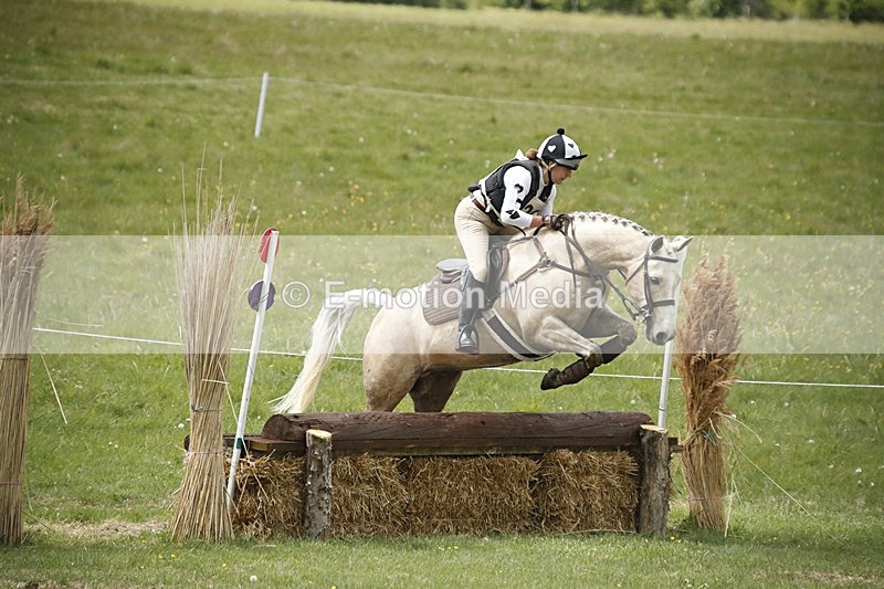 BVHT 140517  NXC -197 - Class 2 XC Novice 14/05/17