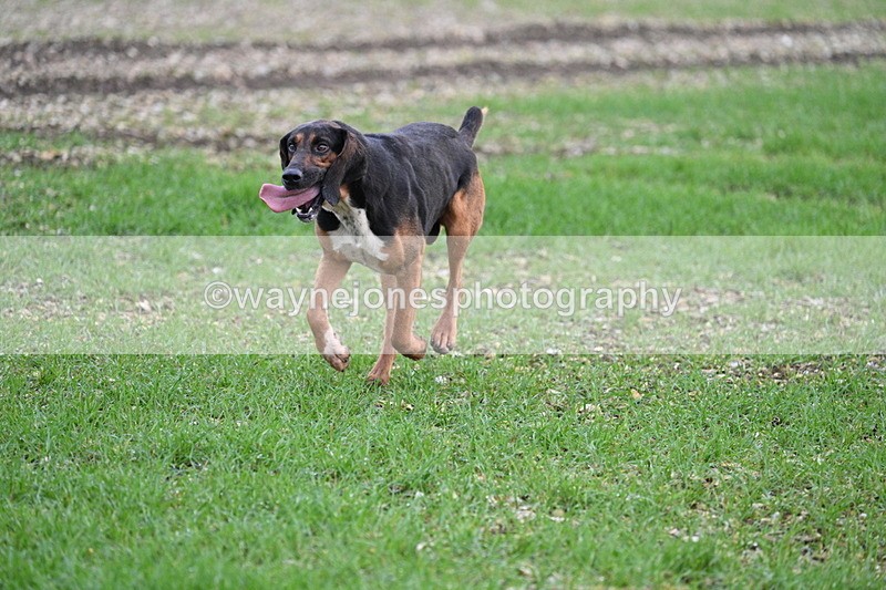 WJ7_0193 - Camera 1 & Last fence