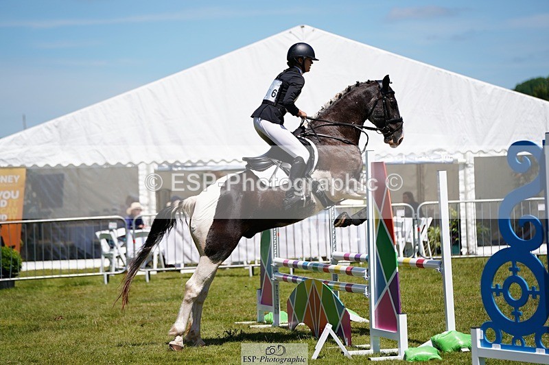 240629X-122418-4806 - 206-rebecca_jones-MR_BOXER