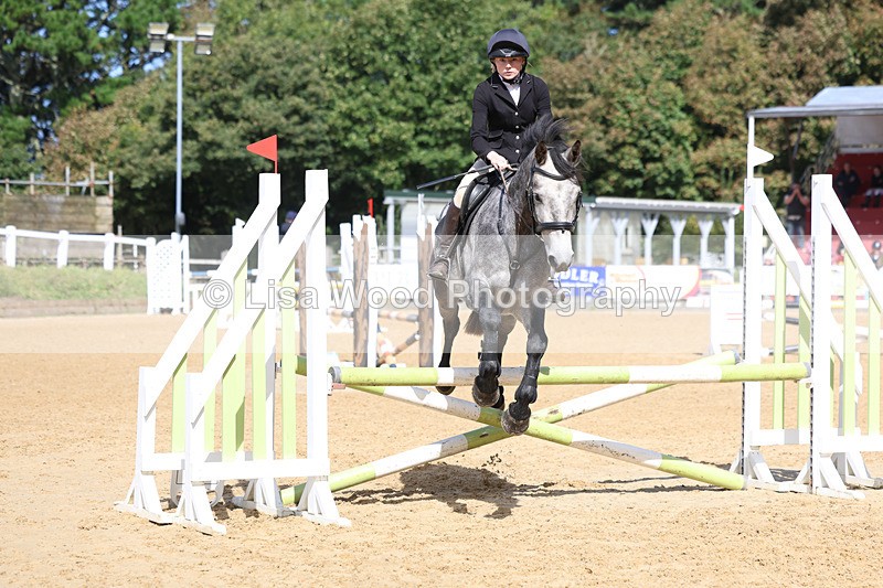 3E7A8945 - Class 8: 80cm Senior